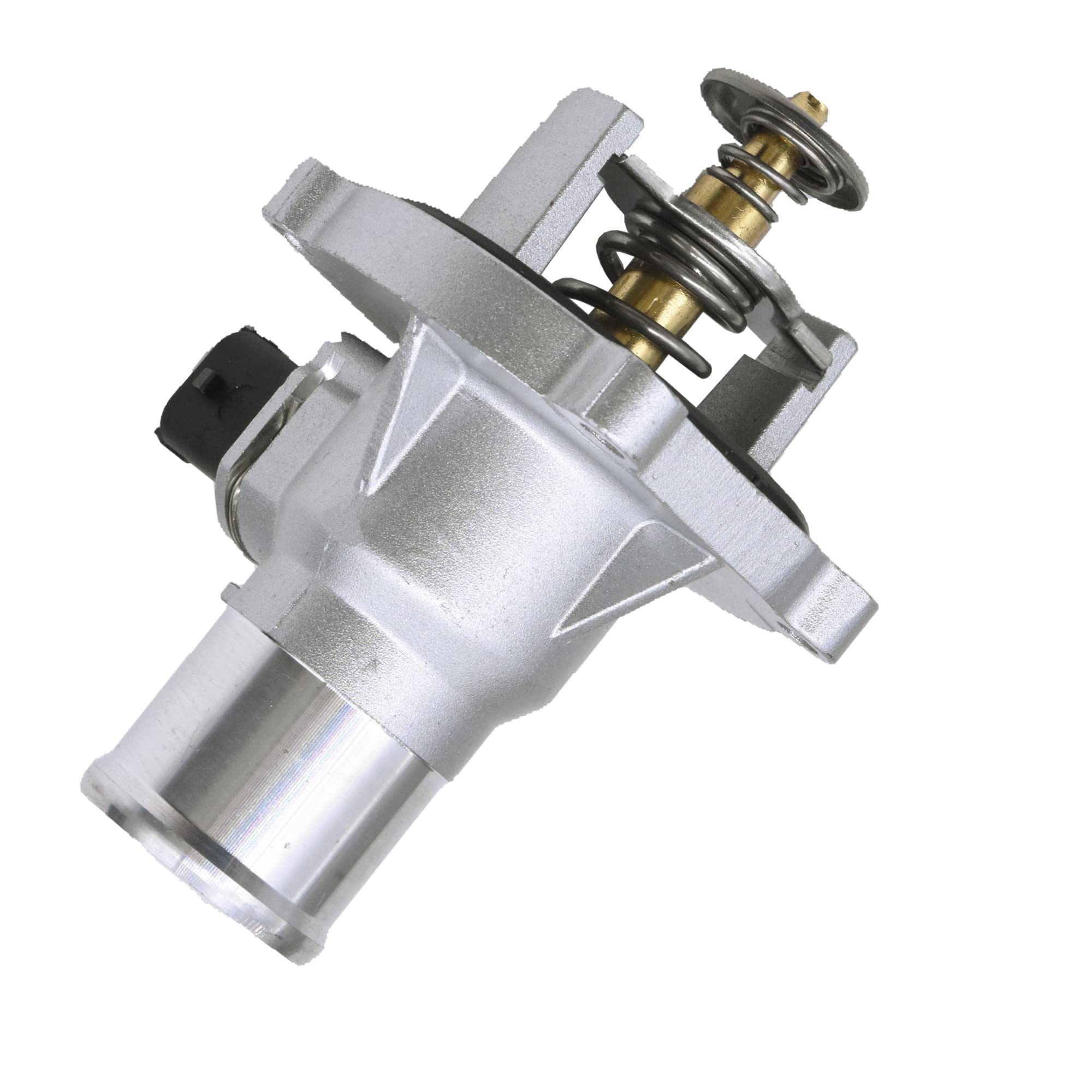 بلف حرارة كروز عام