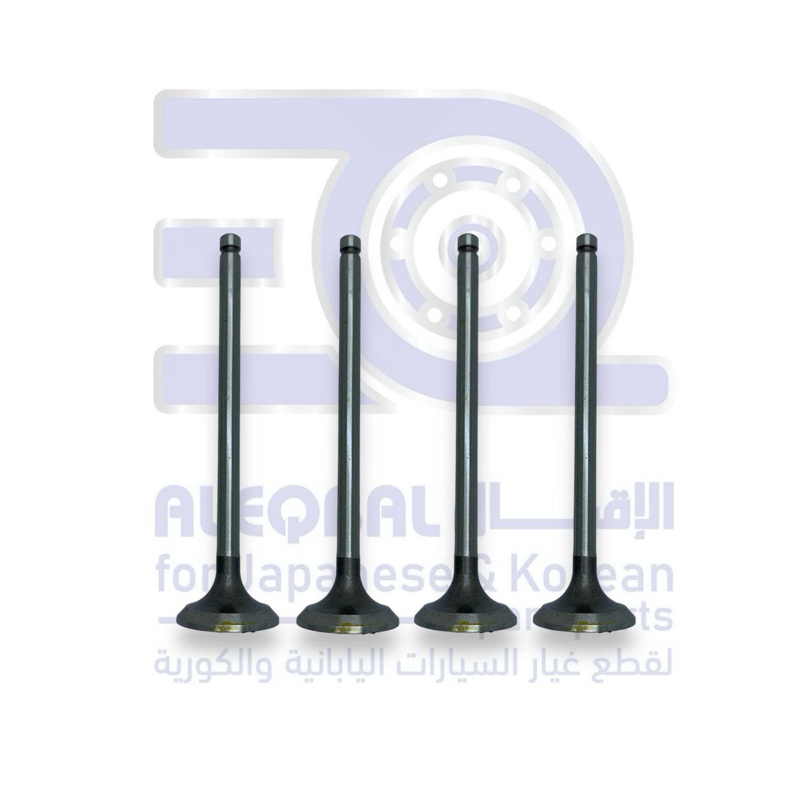 بلوف نار ميتسوبيشي ونيت من 1987 الى 1997 ديزل