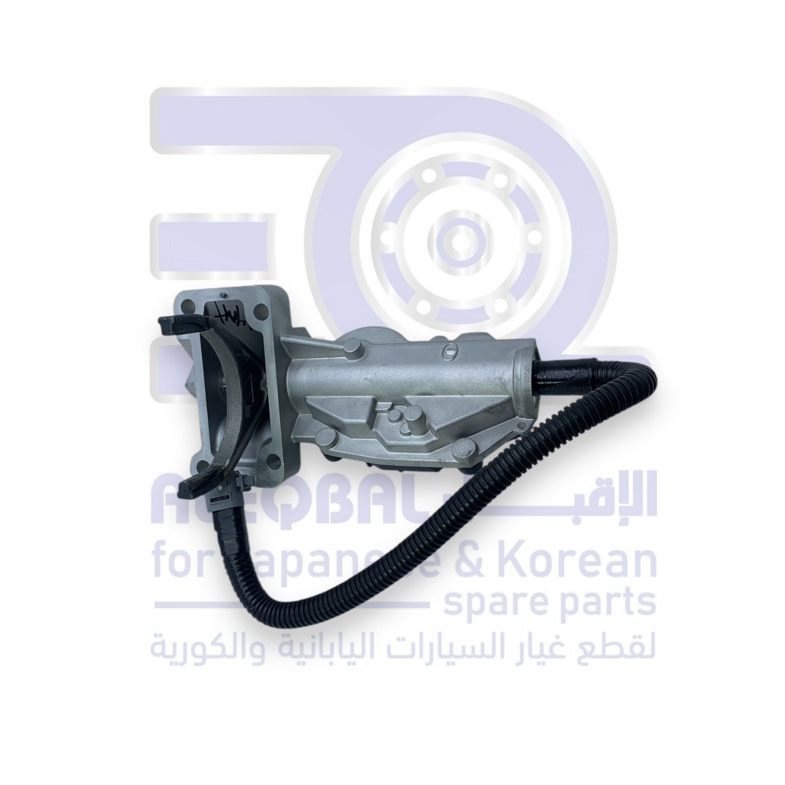 دينمو دبل جريت وول وينجل 7 من 2019 الى 2026 اصلي