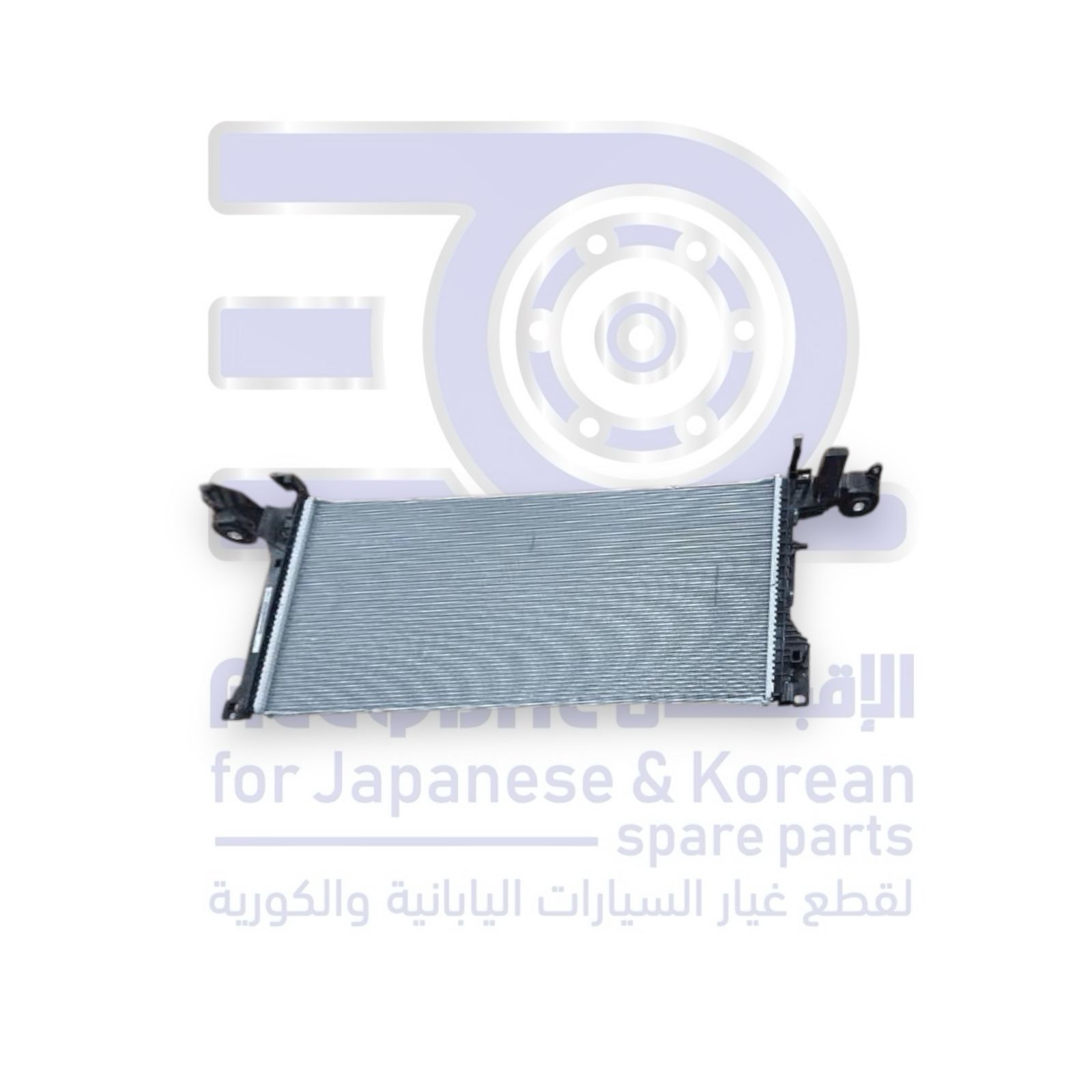 رديتر جيلي توجيلا من 2019 الى 2026 